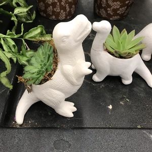 Aurora lol pic just for giggles 😜